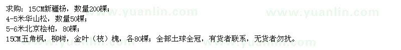 求購新疆楊、華山松、北京檜柏、五角楓等