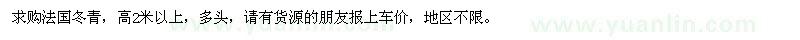 求購法國冬青