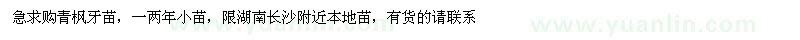 求購青楓牙苗