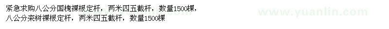 求購(gòu)國(guó)槐、欒樹(shù)