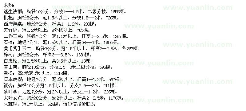 求購速生法桐、枇杷、西府海棠、夾竹桃、二喬玉蘭、石楠、玉蘭、梓樹