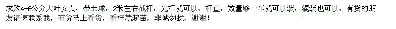 求購4-6公分大葉女貞