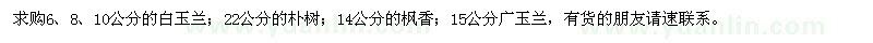 求購白玉蘭、樸樹、楓香、廣玉蘭