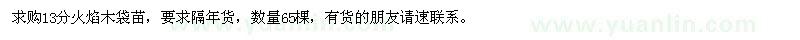 求購13分火焰木袋苗