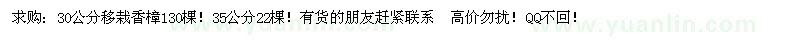 求購30公分移栽香樟130棵！ 