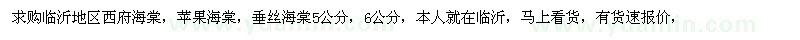 求購(gòu)西府海棠、蘋(píng)果海棠、垂絲海棠 