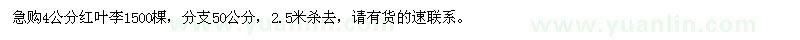 求購4公分紅葉李1500棵