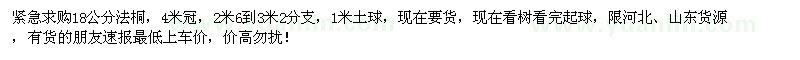 求購18公分法桐