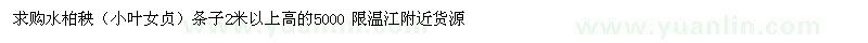 求購水柏秧（小葉女貞） 