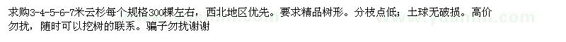 求購3、4、5、6、7米云杉