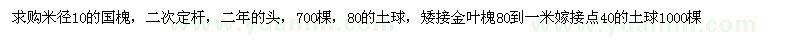 求購米徑10的國槐