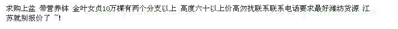 求購(gòu)金葉女貞10萬(wàn)棵