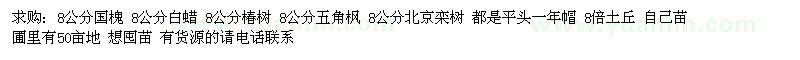 求購(gòu)國(guó)槐 白蠟 椿樹 五角楓 北京欒樹 
