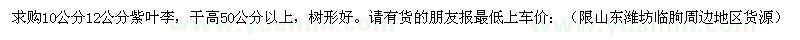 求購10公分12公分紫葉李 