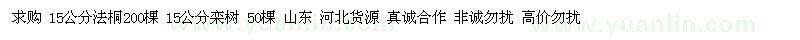 求購(gòu)法桐、欒樹(shù) 