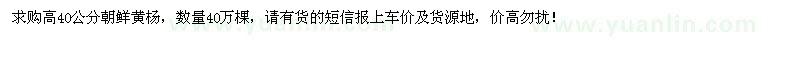 求購高40公分朝鮮黃楊