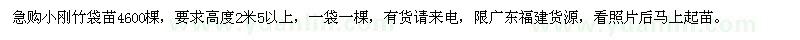 求購高度2米5以上小剛竹袋苗
