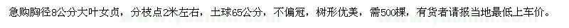 求購急胸徑8公分大葉女貞