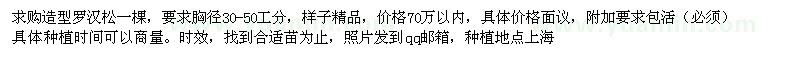 求購造型羅漢松