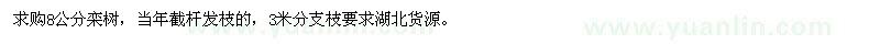 求購8公分欒樹