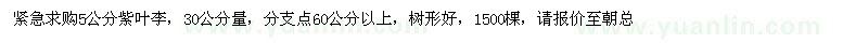 求購5公分紫葉李
