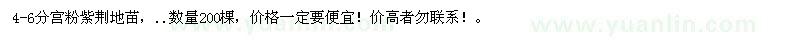 求購(gòu)宮粉紫荊