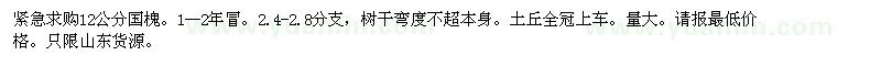 求購12公分國槐