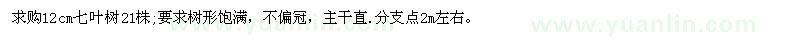 求購12cm七葉樹