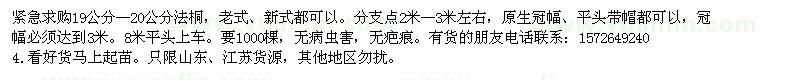 求購法桐