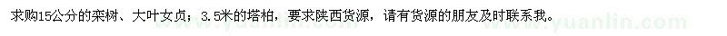 求購(gòu)欒樹、大葉女貞、塔柏