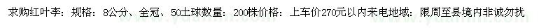 求購紅葉李