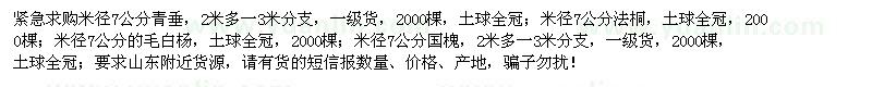 求購青垂、法桐、毛白楊、國槐