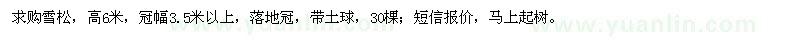 求購雪松