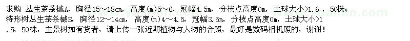 求購(gòu)叢生茶條槭 