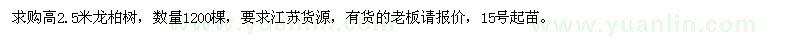 求購高2.5米龍柏