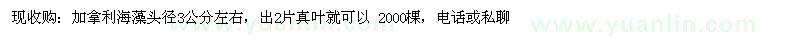 求購(gòu)加拿利海藻頭徑3公分左右 