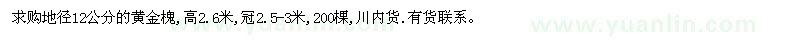 求購(gòu)地徑12公分的黃金槐