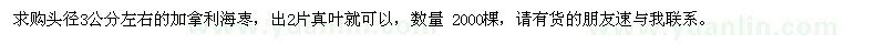 求購頭徑3公分左右的加拿利海栆