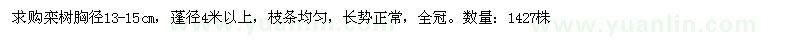 求購欒樹胸徑13-15cm
