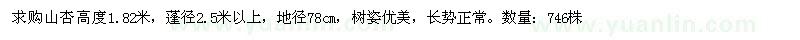 求購山杏高度1.82米
