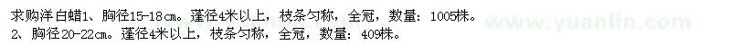 求購洋白蠟胸徑15-18cm、胸徑20-22cm