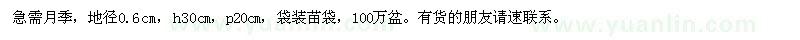 求購(gòu)月季