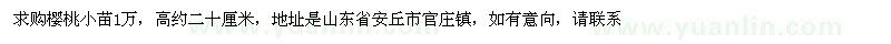 求購高20公分左右櫻桃小苗
