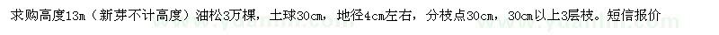 求購(gòu)高度13m（新芽不計(jì)高度）油松