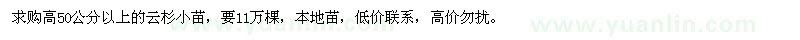求購高50公分以上的云杉小苗