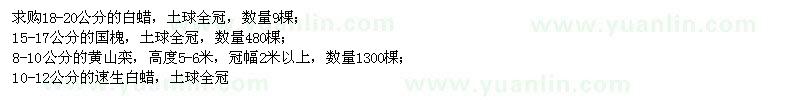求購白蠟、國槐、黃山欒、速生白蠟
