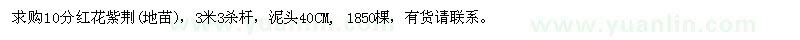 求購10分紅花紫荊（地苗）