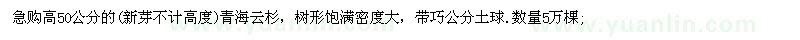 求購高50公分的青海云杉
