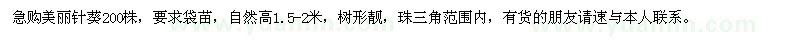 求購美麗針葵200株