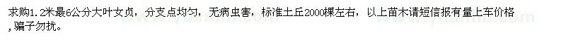 求購1.2米量6公分大葉女貞